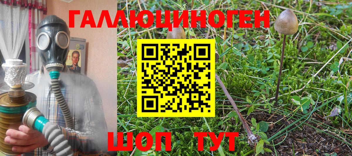 Псилоцибиновые грибы мицелий  Вход с VPN  сколько стоит  Осинники 